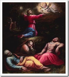 The Garden of Gethsemane,Got-Fruit?,Jesus,prayer,disciples