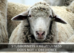 Stubborness-Obedience